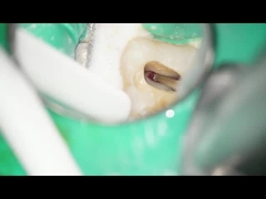 Dental RA Burs Tungsten Carbide Burs Dental Gunakan Kecepatan Rendah